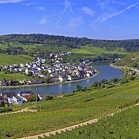 Leuchtpunkt Nitteler Fels (4)