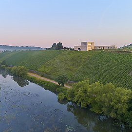 Weingut Van Volxem (3)
