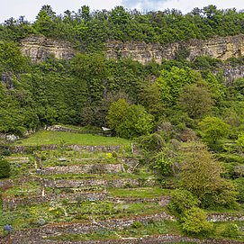 Felsengarten Nittel (2)