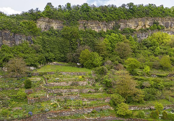 Felsengarten Nittel (2)