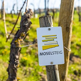 Auf dem Moselsteig