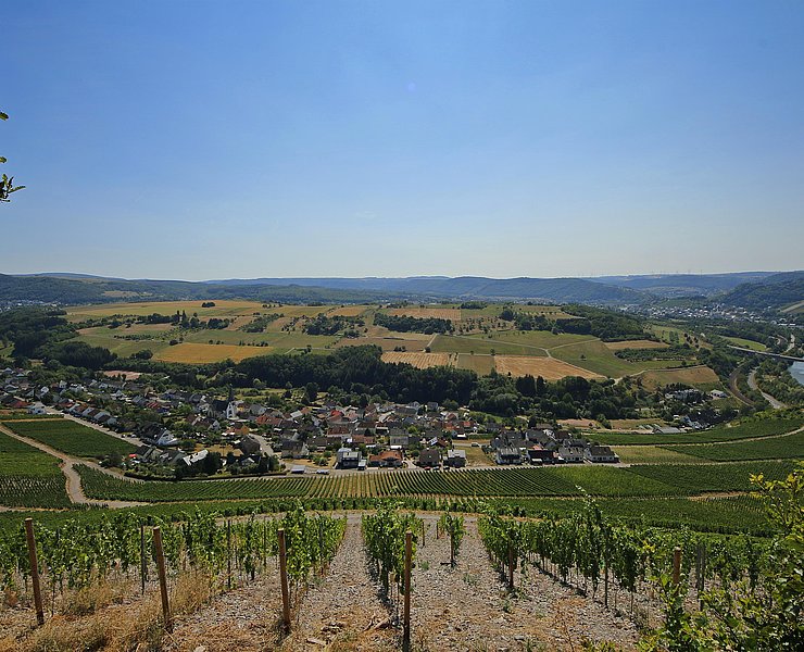 Blick auf Ockfen