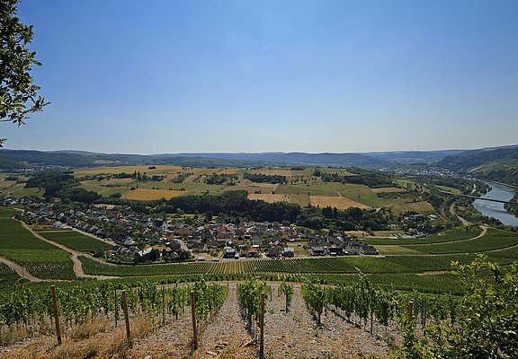 Blick auf Ockfen