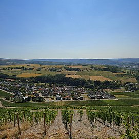 Blick auf Ockfen