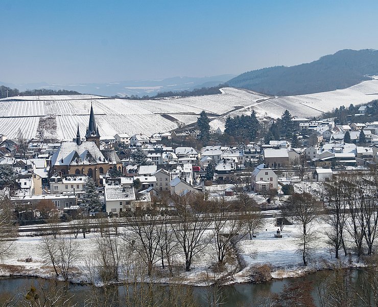 Winter in Wiltingen