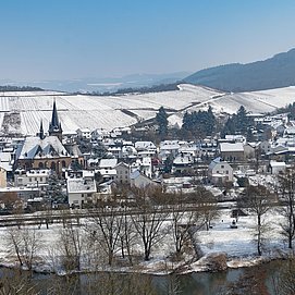 Winter in Wiltingen