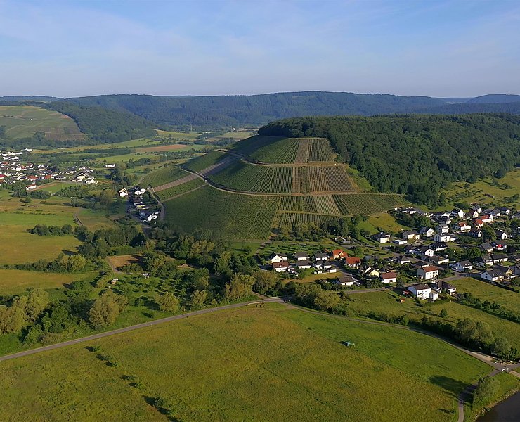 Blick auf die Weinlage Ayler Kupp