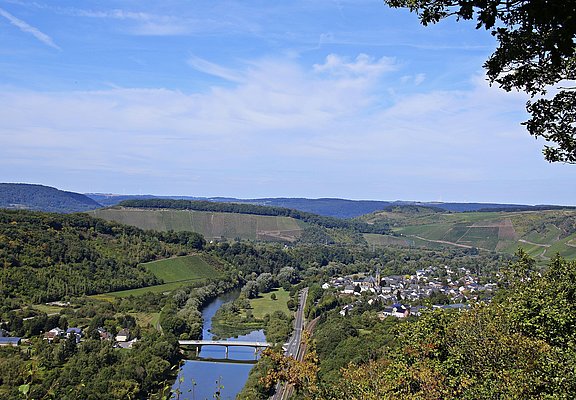 Saar-Riesling-Steig (04)