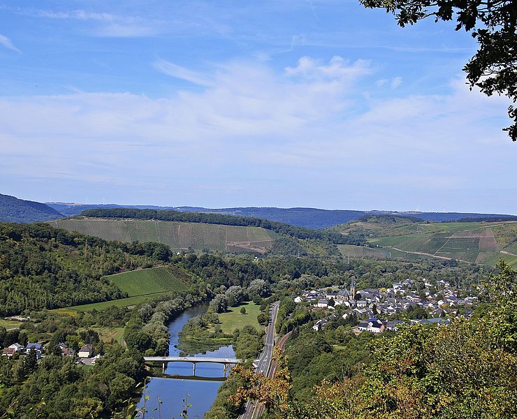 Saar-Riesling-Steig (04)