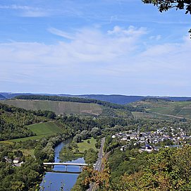 Saar-Riesling-Steig (04)