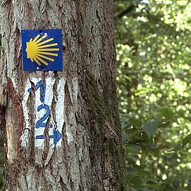 Wandern auf dem Jakobusweg (01)