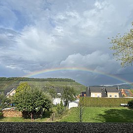 IMG_5468