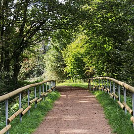 Spazierweg Warsberg (1)