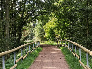 Spazierweg Warsberg (1)