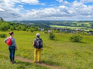 Naturschutzgebiet Eiderberg (1)