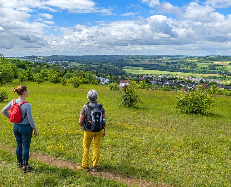Naturschutzgebiet Eiderberg (1)