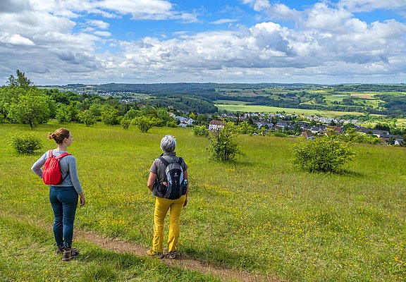 Naturschutzgebiet Eiderberg (1)