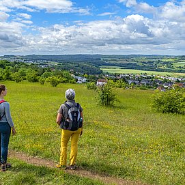 Naturschutzgebiet Eiderberg (1)