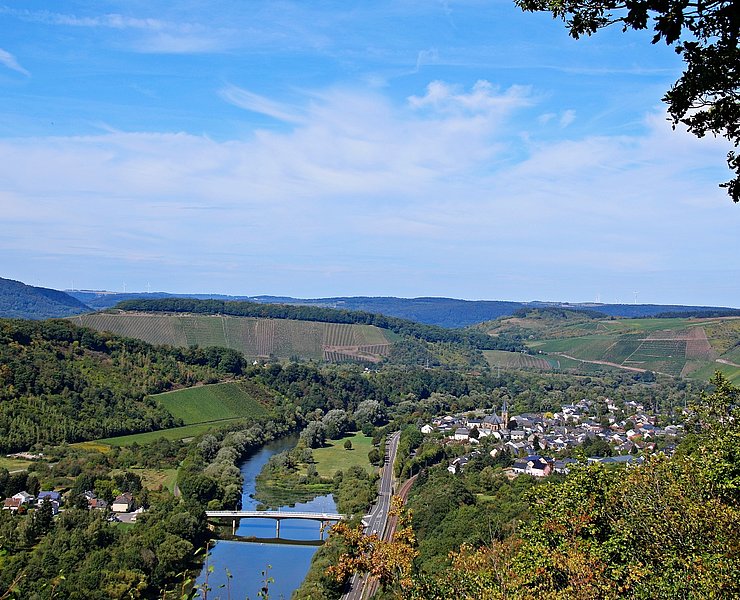 Blick ins Saartal