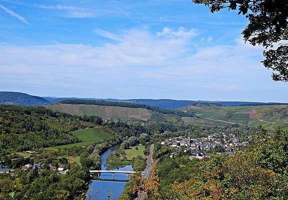 Blick ins Saartal