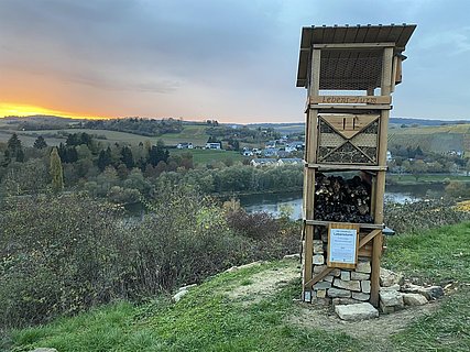 Lebensturm (1)