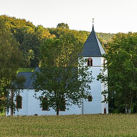 Rehlinger Kirche Fisch