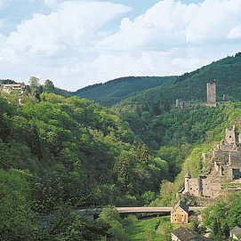Die Manderscheider Burgen