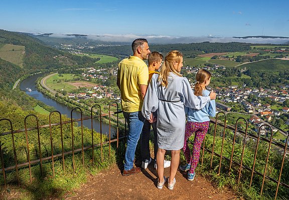 Blick ins Saartal