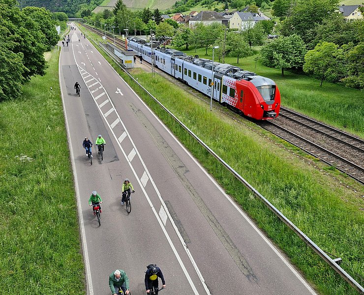 Saar-Pedal (1)