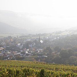 Ayler Kupp (05)
