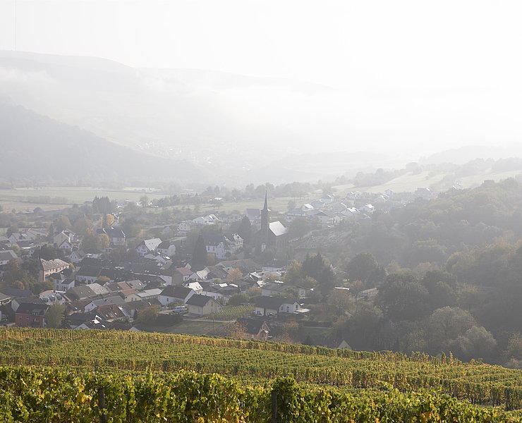 Ayler Kupp (05)