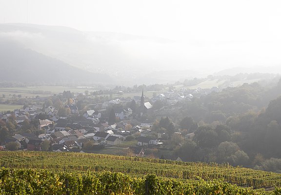 Ayler Kupp (05)