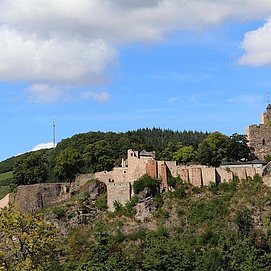 Burganlage Saarburg (1)