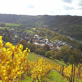 Indian Summer-Blick auf Filzen