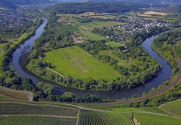 Wiltinger Saarbogen (1)
