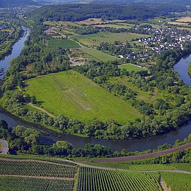 Wiltinger Saarbogen (1)