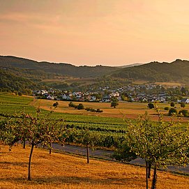 Goldene Herbststimmung im Konzer Tälchen
