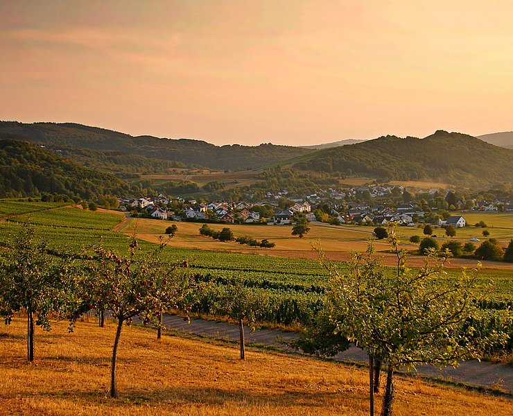Goldene Herbststimmung im Konzer Tälchen