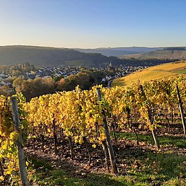Wiltingen im goldenen Herbst