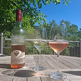 Weingut Schafhausen Kanzem (01)