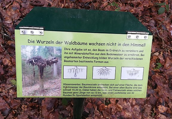 Wald und Boden (2)