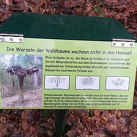 Wald und Boden (2)