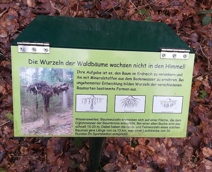Wald und Boden (2)