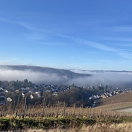 IMG_5487
