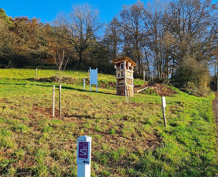Lebensturm (3)
