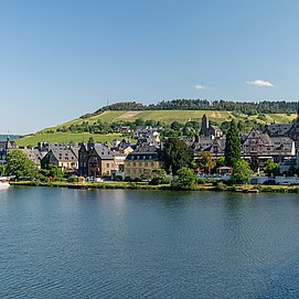 Blick auf Traben Trarbach vom Mosel-Radweg