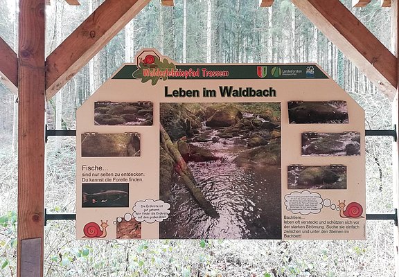 Informationspavillon Wald und Wasser (2)