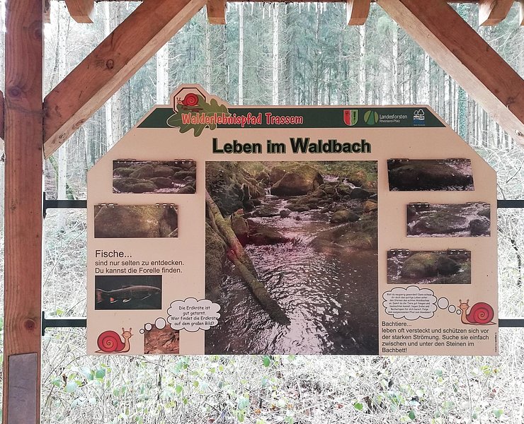 Informationspavillon Wald und Wasser (2)
