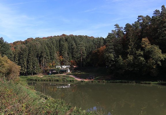 Angelweiher Trassem (3)