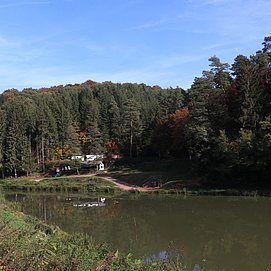 Angelweiher Trassem (3)